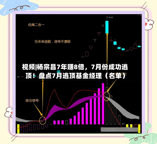 视频|杨宗昌7年赚8倍，7月份成功逃顶！盘点7月逃顶基金经理（名单）-第2张图片