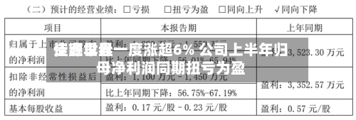佳鑫世界资源早盘一度涨超6% 公司上半年归母净利润同期扭亏为盈-第2张图片