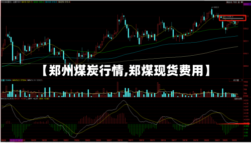【郑州煤炭行情,郑煤现货费用】