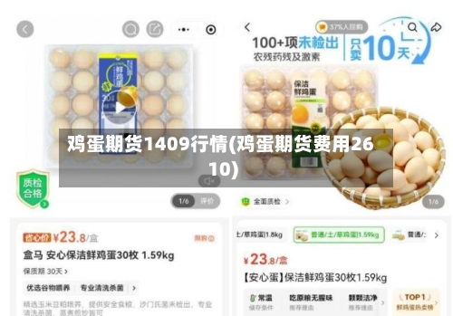 鸡蛋期货1409行情(鸡蛋期货费用2610)