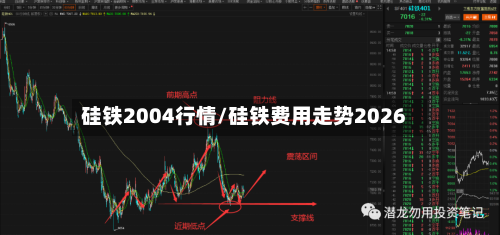 硅铁2004行情/硅铁费用走势2026-第2张图片