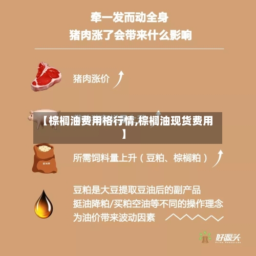 【棕榈油费用格行情,棕榈油现货费用】-第2张图片