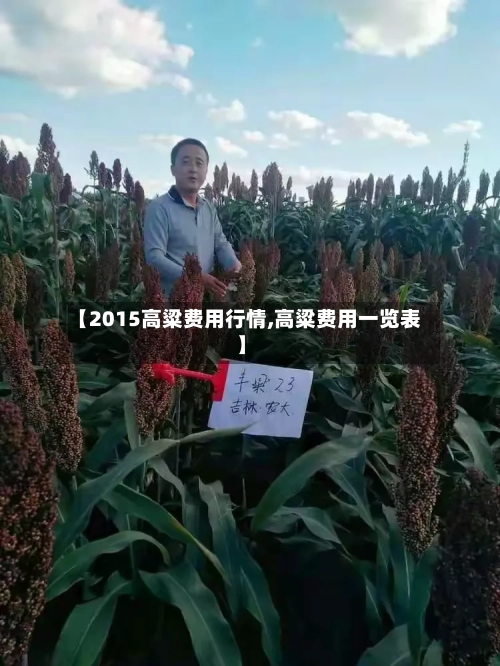 【2015高粱费用行情,高粱费用一览表】