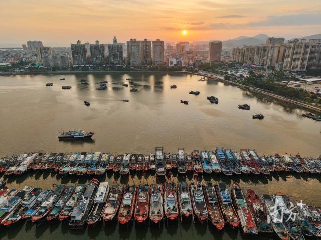 台风“红霞	”或将正面袭击汕尾！全市6679艘涉渔船舶入港避风